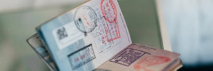 Freelance Visa