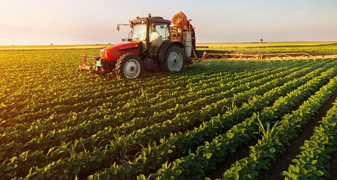 Agriculture Worker Visa